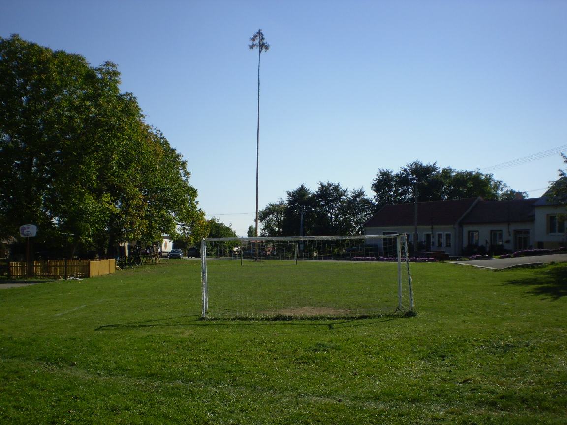 PA060253